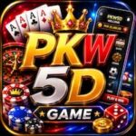 PKW5D Game